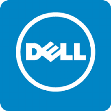 Dell largest company